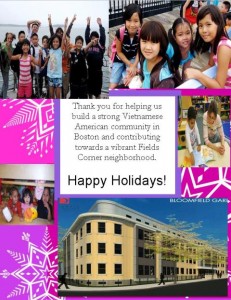 Viet-AID Holiday E-Card 2012